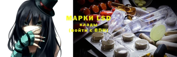 apvp Аркадак