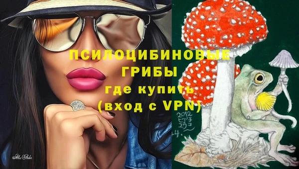 спиды Арсеньев