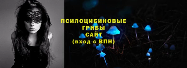 спиды Арсеньев