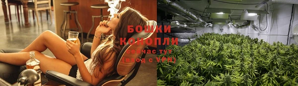 спиды Арсеньев