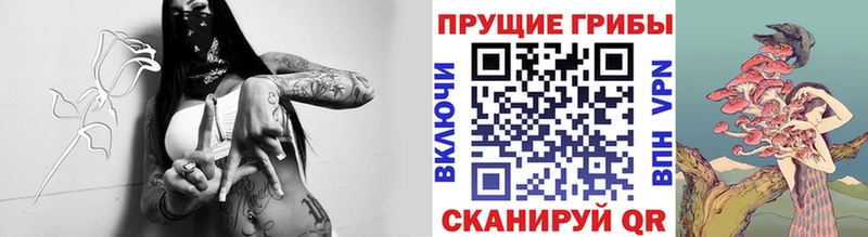 Псилоцибиновые грибы Psilocybe  OMG ONION  это клад  Сольцы 